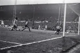 Steve White watches his effort go wide