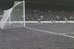 Steve White goes close