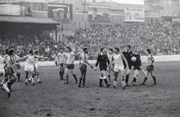 Looks like friendly rivalry