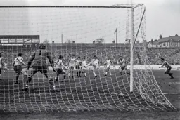 Mal Donaghy tries his luck