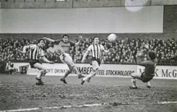 Steve White chips the keeper