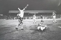 Look what I have done