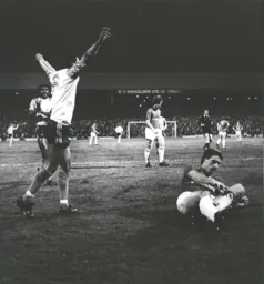 Brian Stein celbrates after scoring