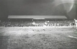 Steve White tries a speculative shot