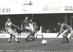 Steve White watches as the ball drifts wide