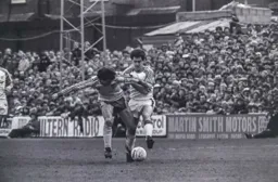 Steve White in a tangle