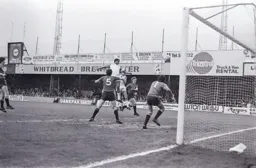 Brian Stein climbs high