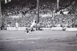 Brian Stein brought down