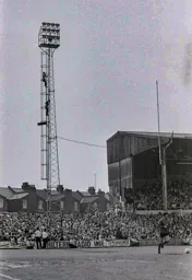 New season ticket seat