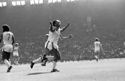 Brian Stein celebrates