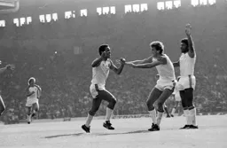 Brian Stein is congratulated