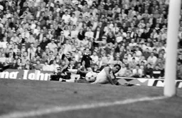 Brian Stein slide the ball home