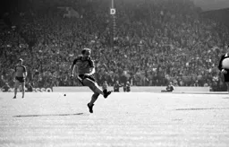 Brian Horton lets fly