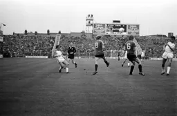 Paul Walsh chips into the box