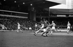 Brian Stein taken out