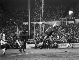 Brian Stein watches David Moss`s (out of picture)chip shot secure the Town`s first goal