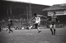 Brian Stein in full flow