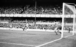 Brian Stein waits for the ball