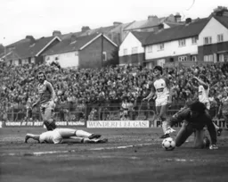 Not this time as Frank Bunn looks on