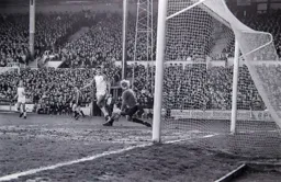 David Moss sees his effort go past the post