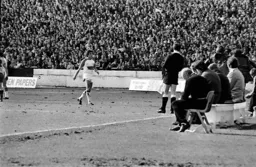 Raddy Antic walks off