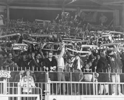 Happy Town fans at the final whistle