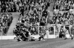 Somewhere under the pile is Raddy Antic