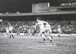 Mal Donaghy celebrates