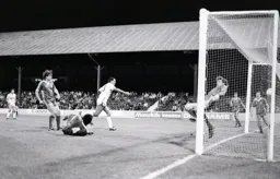 Brian Stein watches the ball hit the back of the net