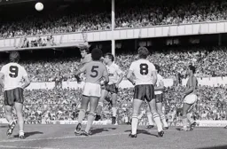 Mal Donaghy rises in the box