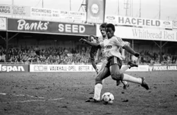 Ray Daniel looks as though he cannot miss