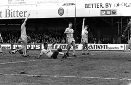 Offside say Spurs No says the Ref