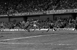 Mick Harford fires wide