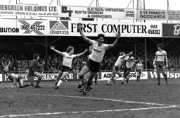 Everybody celebrates