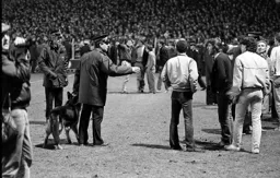 Worst scenes at Kenilworth ever