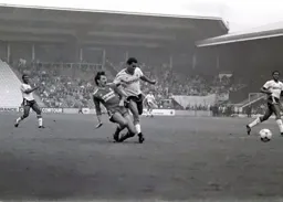 Brian Stein beats Mark Lawrenson