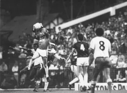 Luton fall to their first defeat of the season despite Brian Stein scoring for the third time in four games