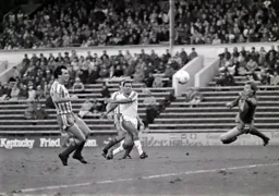 Brian Stein`s shot beats Martin Hodge but goes wide of the post