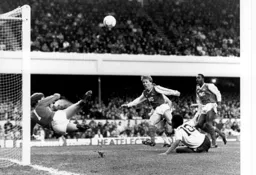 Mark Stein scores a late consolation as the Hatter's wretched record at Highbury continues