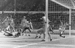 It started so well when Mick Harford put the Town 1-0 up after 13 minutes sending the Hatters fans who were in the minority into raptures