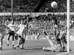 But after Harford's goal it all went wrong as the underdogs Reading came back to win 4-1