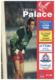 Programme: Crystal Palace vs Luton Town FC (2nd Nov 1993)