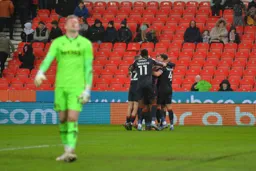The players celebrate with Cameron Jerome after doubling the Hatters lead