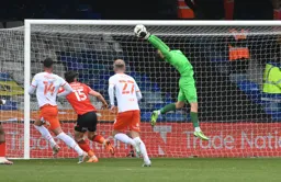 Harry Isted makes a find collection from a deep cross