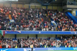 3000 following the Town