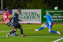 Cauley Woodrow’s effort goes wide