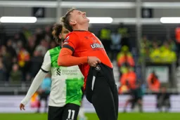 Not sure what Alfie is doing