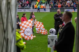 View from the tunnel