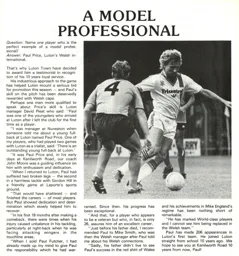 Paul Price A Model Professional Article 1981