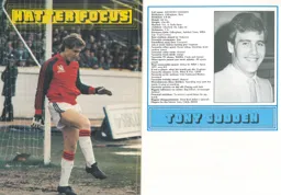 Tony Godden Hatter Focus 1983